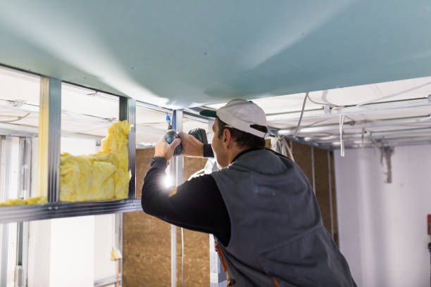 Types of Insulation We Offer in VA