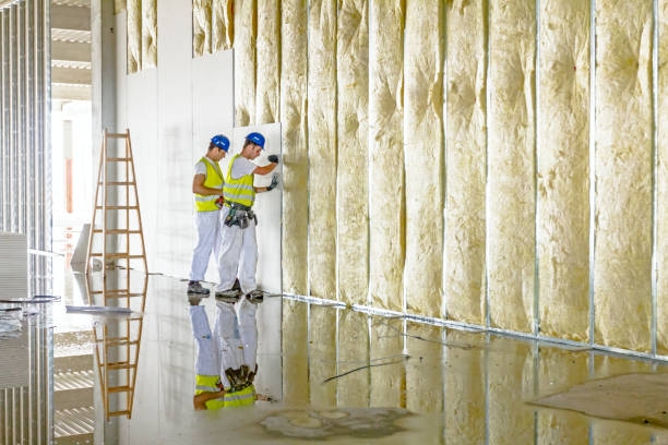 Best Specialty Insulation in Gate City, VA